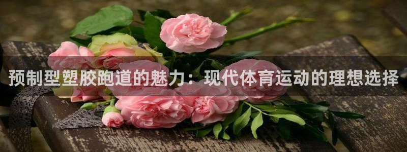 红足l一世开奖现场62ty：预制型塑胶跑道的魅力：现代体育运动的理想选择