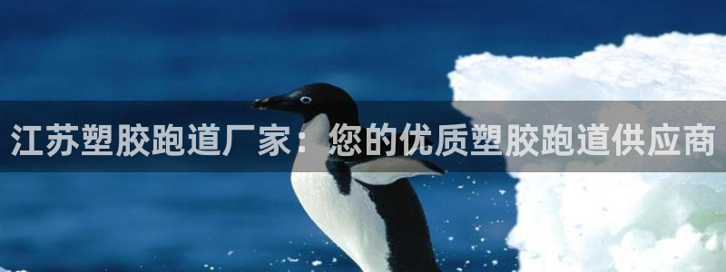 红足一1世手机皇冠：江苏塑胶跑道厂家：您的优质塑胶跑道供应商