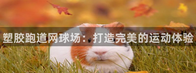 红足1一世：塑胶跑道网球场：打造完美的运动体验
